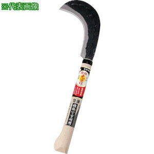 L R o 190gki:HT1271ly1114038:0z[ʓrς][@lEƏ][O][Xs]