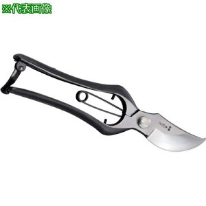 L {  B^ ~ 225mmki:HT2577ly1114051:0z[ʓrς][@lEƏ][O][Xs]