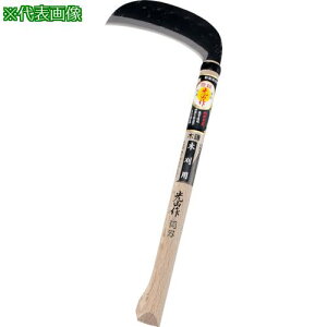 L R yʑŗn؊ 150mmki:HT0655ly1114057:0z[ʓrς][@lEƏ][O][Xs]