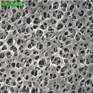 SIBATA utB^[ C080A047A 100ki:064320047080ly1121447:0z[ʓrς][fO][Xs]