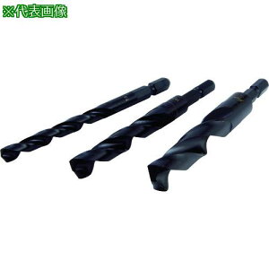 ��DENSAN �Z�p���S�H�h�����k�i��:TD110�l�y1124235:0�z[�����ʓr���ς�][�f�O���][�X�����s��]