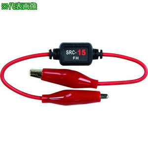 DENSAN `FbN^[~iki:SRC05ly1125776:0z[ʓrς][fO][Xs]