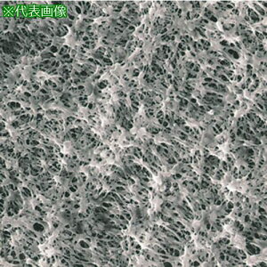 ��SIBATA �����u�����t�B���^�[ H100A047A 100���k�i��:064410047100�l�y1126234:0�z[�����ʓr���ς�][�f�O���][�X�����s��]