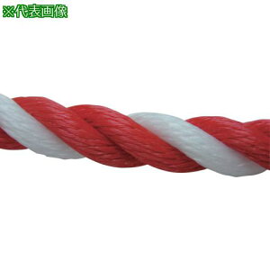 �����^�J���C�N ���[�v PE���[�v���� 9��×200m �R�E�n�N�k�i��:PE55�l�y1135519:0�z[�����ʓr���ς�][�f�O���][�X�����s��]