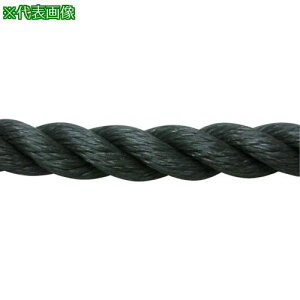 �����^�J���C�N ���[�v PE���[�v���� 12mm×200m �O���[�k�i��:PE68�l�y1135532:0�z[�����ʓr���ς�][�f�O���][�X�����s��]