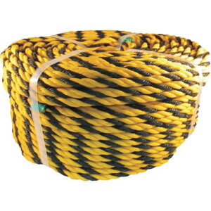 ^JCN [v yʕW[v #12×100ms5tki:NO12100ly1137013×5:0z[ʓrς][fO][Xs]