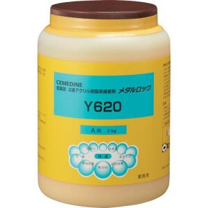 Z_C ^bN Y620 A 2kg AY-051ki:AY051ly1139290:0z[ʓrς][fO][Xs]