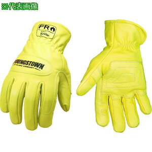 YOUNGST v FROEhO[u Pu[(R) Ski:12336560Sly1146962:0z[Xs]