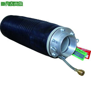 Hoshin ~{[ 嗬ʔr^Cv 150-300ki:PHF150300Aly1149400:0z[ʓrς][@lEƏ][][Xs]