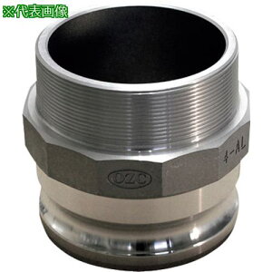 Hoshin zǓ~pIvV ~{[pIXlWA_v^[(Type-F)4C`ki:HSF100Aly1149423:0z[ʓrς][@lEƏ][][Xs]