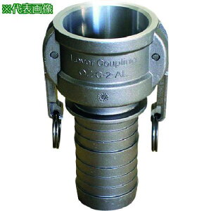 Hoshin zǓ~pIvV ~{[pz[XVNJv[(Type-C)2C`ki:HSC050Aly1149424:0z[ʓrς][@lEƏ][][Xs]