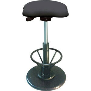 ZCR[ ƃ`FA cCXgXc[tVAK[VR ubN 290×540~780mmki:TWS240R01ly1153995:0z[ʓrς][@lEƏ][][Xs]