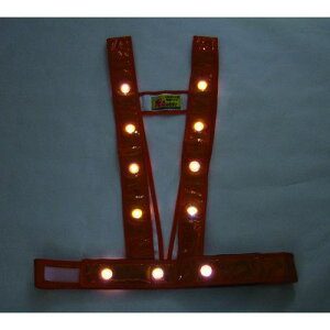 ~YPC LED^XL^SxXgułvIW/LEDki:3020012ly1157217:0z[Xs]