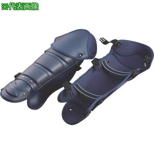 g[[Z[teB Zbg ˁEЂEӂ͂E̍bki:NO.2116ly1176673:0z[ʓrς][fO][Xs]