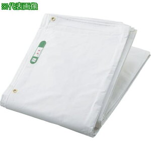 TRUSCO hV[g 5.4X7.2mki:GBS5472ly1204432:0z[Xs]