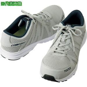 ACgX yʃZ[teB[V[Y lCr[ 24.5ki:AZ5164900824.5ly1205234:0z[ʓrς][fO][Xs]