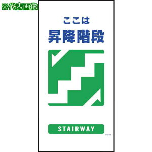 O[NX }KW GE-24 ~Kiki:1146110324ly1214956:0z[ʓrς][fO][Xs]