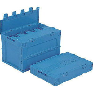 TR[ t^̌^܂肽݃Rei[ 554310 TNbgIRP51Bki:SK554310ly1237502:0z[ʓrς][@lEƏ][O][Xs]