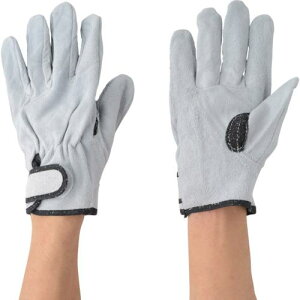 쐼 v}WbNAet 1P LTCYs10otki:2270Lly1237603×10:0z[ʓrς][fO][Xs]