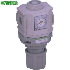 ��CKD ���M�����[�^ ���F�V���[�Y�k�i��:R400010WB3W�l�y1240985:0�z[�����ʓr���ς�][�f�O���][�X�����s��]
