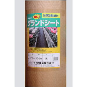 Dio RۍܓhV[g 200cm×100mki:413411ly1242124:0z[ʓrς][fO][Xs]