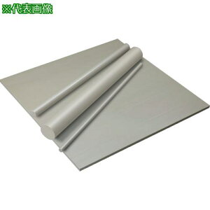 ���^�L���� PEEK 20T×500×1000 �x�[�W���k�i��:TPPEEKPLATE810205001000�l�y1246751:0�z[�����ʓr���ς�][�f�O���][�X�����s��]