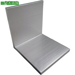 ���A���C���R �A���~�A���O���s�[�X50 �V���o�[�k�i��:FA303S�l�y1250620:0�z[�X�����s��]