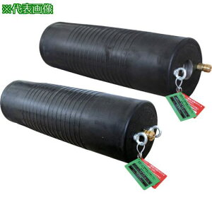 Hoshin ~{[ O^Cv 150-300 oCpXtki:PL150300BAly1251765:0z[ʓrς][@lEƏ][O][Xs]