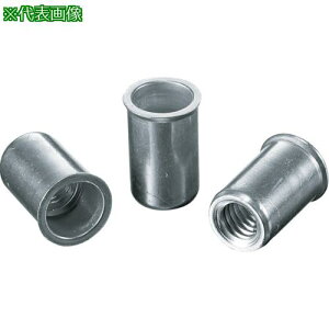 ���G�r �u���C���h�i�b�g�g�G�r�i�b�g�h(�����E�A���~��) ��3.2 M5×0.8(1000��)�k�i��:NAK5M�l�y1260006:0�z[�X�����s��]