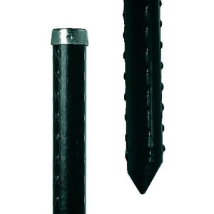 ϐ hbpłݎx s125{tki:20X1.2KBCly1263365×125:0z[ʓrς][@lEƏ][O][Xs]