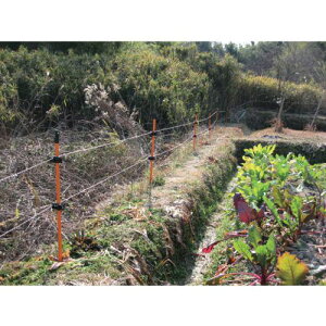 ϐ hbdCx Vqts125{tki:TG220X1.8ORly1263368×125:0z[ʓrς][@lEƏ][O][Xs]