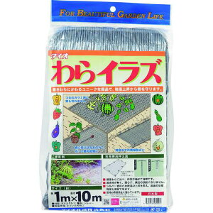 Dio 炢炸 Vo[ 1m×10ms12tki:460002ly1268184×12:0z[ʓrς][fO][Xs]