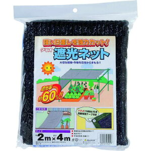 Dio bZՌ 60TH  2m×4ms10tki:231015ly1269707×10:0z[ʓrς][fO][Xs]