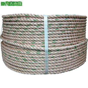 ^JCN PP[v 16mm×200mki:P16200ly1280081:0z[ʓrς][fO][Xs]