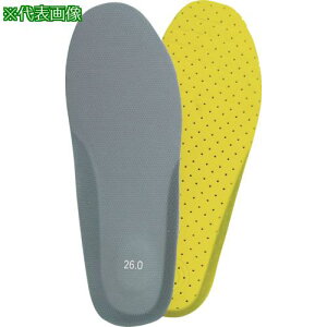 nV F-10 ݔh~ 26.0cmki:F1026.0ly1327858:0z[ʓrς][fO][Xs]