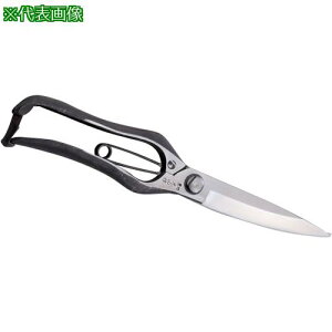 L R Ў芠 Аn ~ki:HT2768ly1351878:0z[ʓrς][@lEƏ][O][Xs]