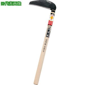 L R ʑŐMB^؊ 165mmki:HT0641ly1351927:0z[ʓrς][@lEƏ][O][Xs]