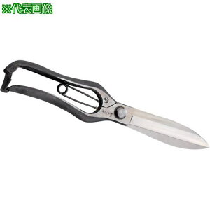 L R Ў芠 n ~ki:HT3127ly1353415:0z[ʓrς][@lEƏ][O][Xs]