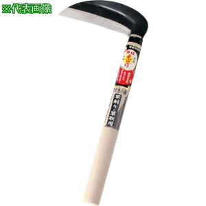 ���L�� ���R�� ��X�L�d�グ�|�t���� 150mm�k�i��:HT0973�l�y1353423:0�z[�����ʓr���ς�][�@�l�E���Ə�����][�f�O���][�X�����s��]