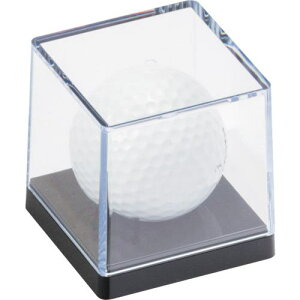 v St{[1Pki:560843ly1354120:0z[ʓrς][fO][Xs]