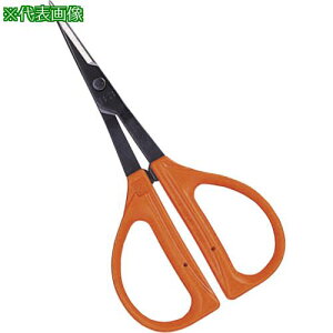 ���`�J�}�T �Ԃǂ�����^�k�i��:B300�l�y1357768:0�z[�X�����s��]