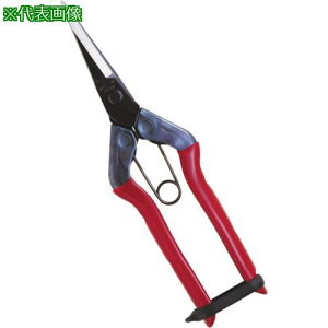 `J}T ki:T551ly1357776:0z[ʓrς][Xs]