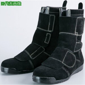 SH b 25.5CMki:KT207255ly1366844:0z[ʓrς][@lEƏ][O][Xs]