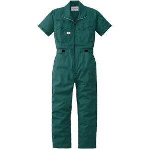 AUTO-BI Ȃ1070-010O[-5Lki:10700105Lly1371080:0z[ʓrς][fO][Xs]