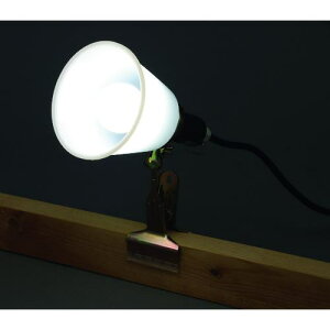 IRIS 569994 PROLEDS LEDNbvCghH^ (60`)ki:ILW85GBC3ly1371968:0z[Xs]