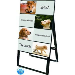 TOKISEI ubNJ[hP[XX^hŔ A48ЖʃnCki:BCCSKA4Y8KHly1429125:0z[ʓrς][@lEƏ][][Xs]