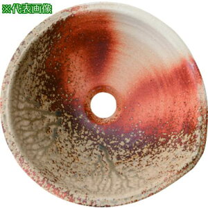 SANEI  My yV[Yki:HW1023S001ly1440217:0z[ʓrς][fO][Xs]