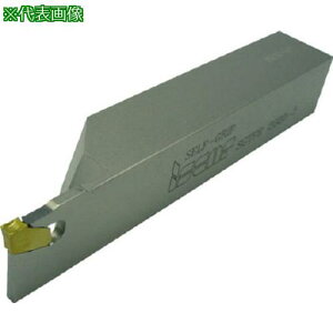 CXJ ZtObv ̌^z_[ SGTFR/Lki:SGTFR25255ly1452142:0z[Xs]