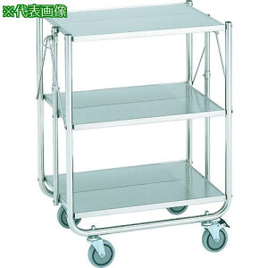 ERECTA XeX܂݃Ski:ESWK3ly1460735:0z[ʓrς][@lEƏ][O][Xs]