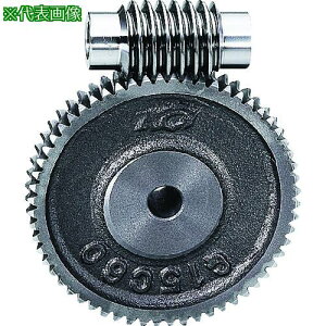 ��KG �y���ؔp�ԁz�E�H�[���z�C�[�� G1.5C 80-R1 ���W���[��1.5 ���͊p20�x(����)�k�i��:G1.5C80MR1�l�y1494848:0�z[�X�����s��]